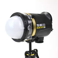 botones flash Sea&Sea D2